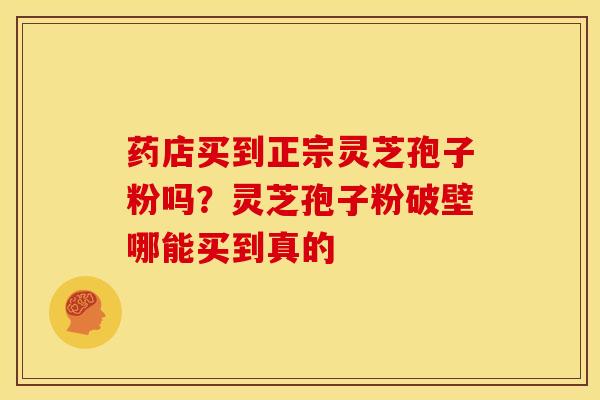 药店买到正宗灵芝孢子粉吗?灵芝孢子粉破壁哪能买到真的