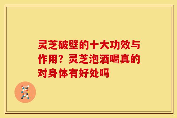 灵芝破壁的十大功效与作用？灵芝泡酒喝真的对身体有好处吗
