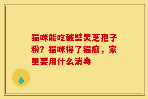 猫咪能吃破壁灵芝孢子粉?猫咪得了猫癣,家里要用什么消毒