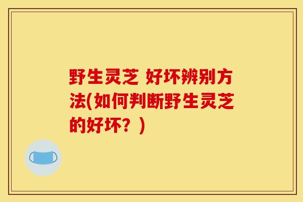 野生灵芝 好坏辨别方法(如何判断野生灵芝的好坏?)