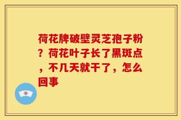 荷花牌破壁灵芝孢子粉?荷花叶子长了黑斑点,不几天就干了,怎么回事