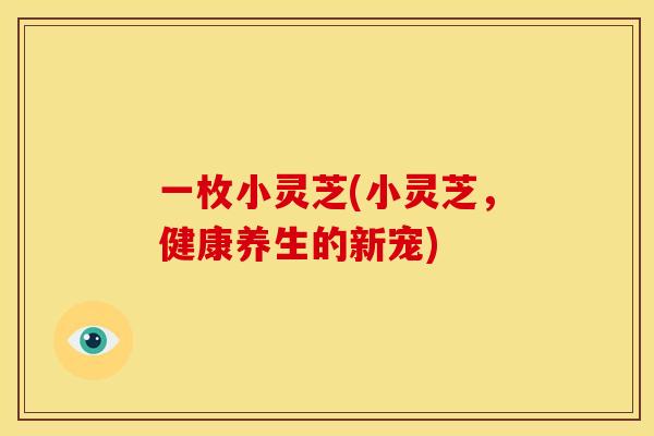 一枚小灵芝(小灵芝,健康养生的新宠)