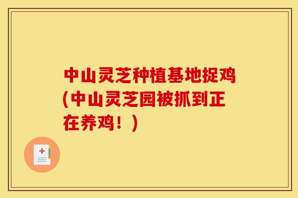中山灵芝种植基地捉鸡(中山灵芝园被抓到正在养鸡！)