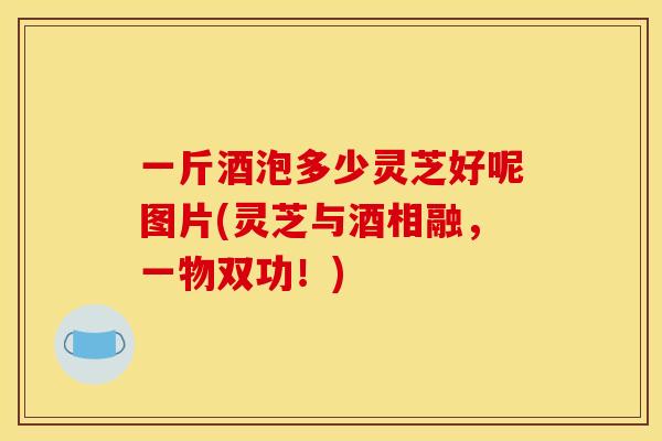一斤酒泡多少灵芝好呢图片(灵芝与酒相融,一物双功!)