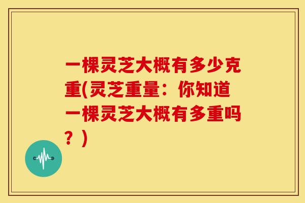 一棵灵芝大概有多少克重(灵芝重量:你知道一棵灵芝大概有多重吗?)