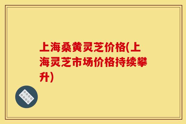上海桑黄灵芝价格(上海灵芝市场价格持续攀升)