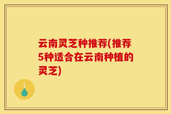 云南灵芝种推荐(推荐5种适合在云南种植的灵芝)