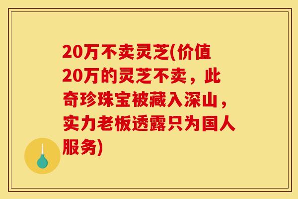 20万不卖灵芝(价值20万的灵芝不卖，此奇珍珠宝被藏入深山，实力老板透露只为国人服务)