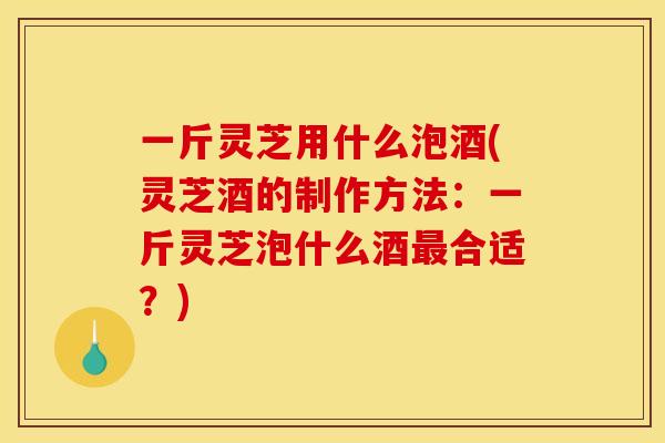 一斤灵芝用什么泡酒(灵芝酒的制作方法:一斤灵芝泡什么酒最合适?)