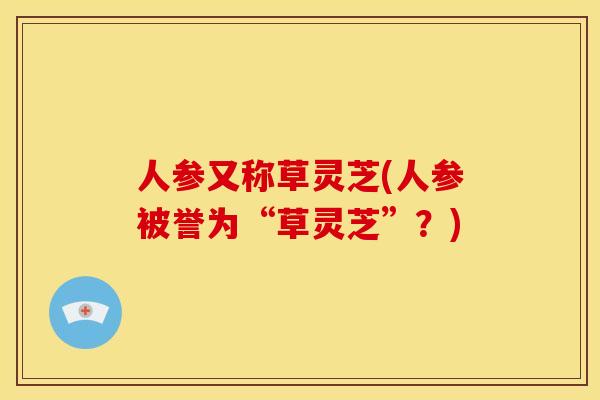 人参又称草灵芝(人参被誉为“草灵芝”?)