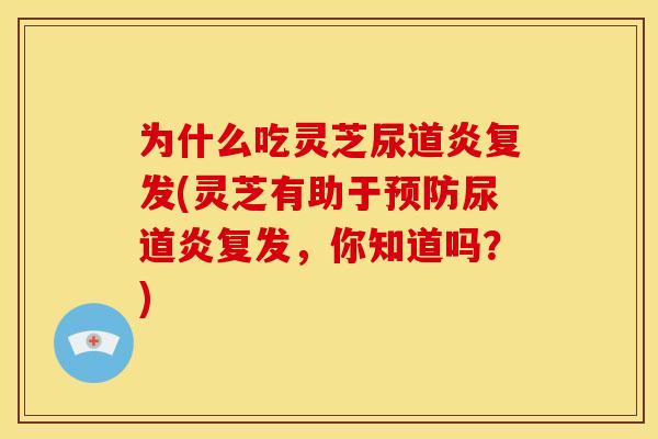 为什么吃灵芝尿道炎复发(灵芝有助于预防尿道炎复发，你知道吗？)