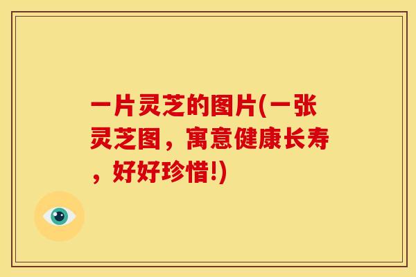 一片灵芝的图片(一张灵芝图,寓意健康长寿,好好珍惜!)