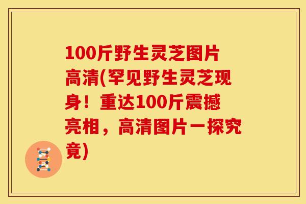 100斤野生灵芝图片高清(罕见野生灵芝现身！重达100斤震撼亮相，高清图片一探究竟)