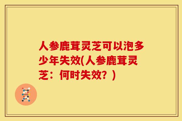 人参鹿茸灵芝可以泡多少年失效(人参鹿茸灵芝:何时失效?)
