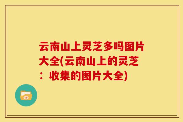 云南山上灵芝多吗图片大全(云南山上的灵芝:收集的图片大全)