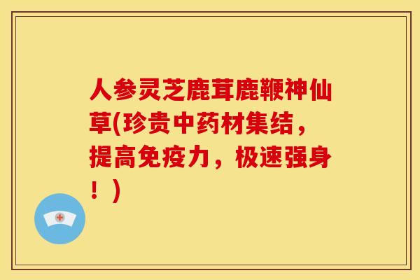 人参灵芝鹿茸鹿鞭神仙草(珍贵中药材集结,提高免疫力,极速强身!)