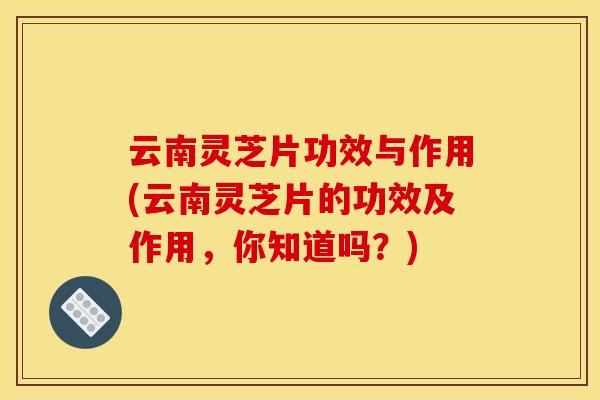 云南灵芝片功效与作用(云南灵芝片的功效及作用,你知道吗?)