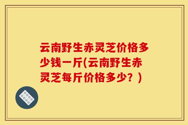 云南野生赤灵芝价格多少钱一斤(云南野生赤灵芝每斤价格多少?)