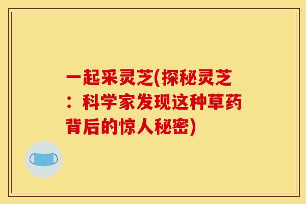 一起采灵芝(探秘灵芝:科学家发现这种草药背后的惊人秘密)