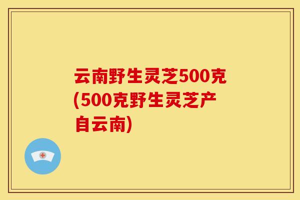云南野生灵芝500克(500克野生灵芝产自云南)