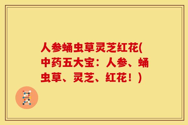 人参蛹虫草灵芝红花(中药五大宝:人参、蛹虫草、灵芝、红花!)