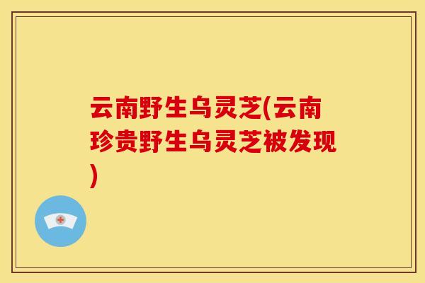 云南野生乌灵芝(云南珍贵野生乌灵芝被发现)