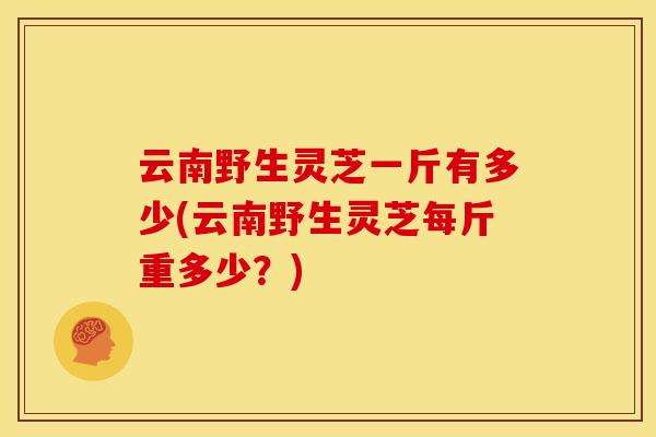 云南野生灵芝一斤有多少(云南野生灵芝每斤重多少?)