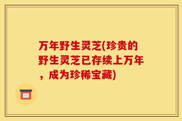 万年野生灵芝(珍贵的野生灵芝已存续上万年,成为珍稀宝藏)