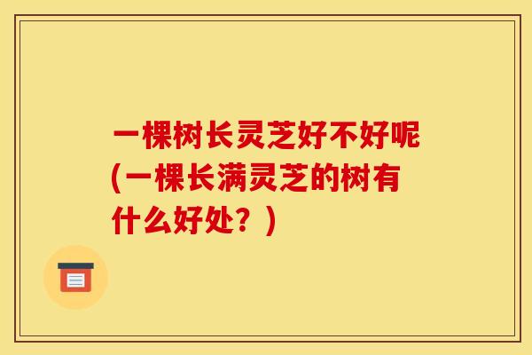 一棵树长灵芝好不好呢(一棵长满灵芝的树有什么好处?)