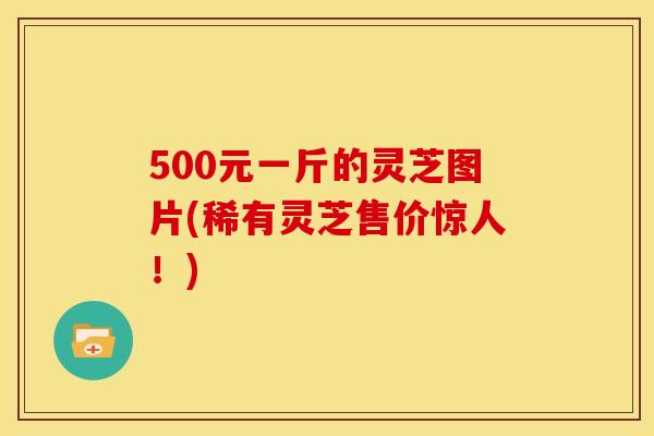 500元一斤的灵芝图片(稀有灵芝售价惊人!)