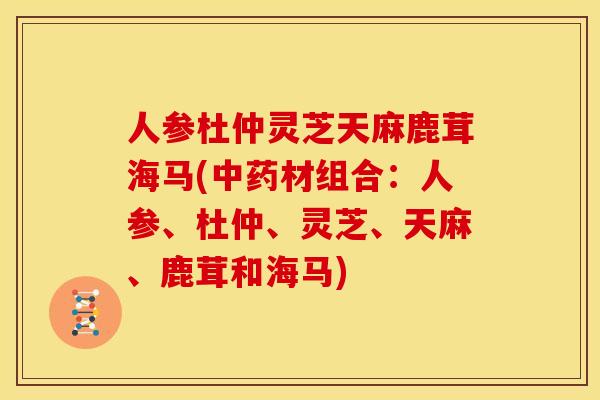 人参杜仲灵芝天麻鹿茸海马(中药材组合:人参、杜仲、灵芝、天麻、鹿茸和海马)