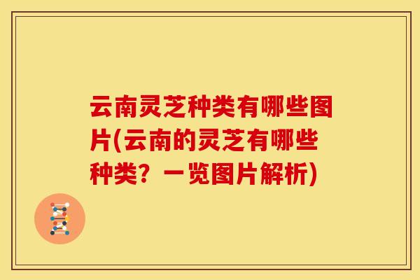云南灵芝种类有哪些图片(云南的灵芝有哪些种类？一览图片解析)