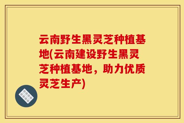云南野生黑灵芝种植基地(云南建设野生黑灵芝种植基地,助力优质灵芝生产)