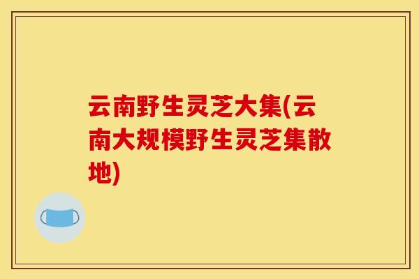 云南野生灵芝大集(云南大规模野生灵芝集散地)