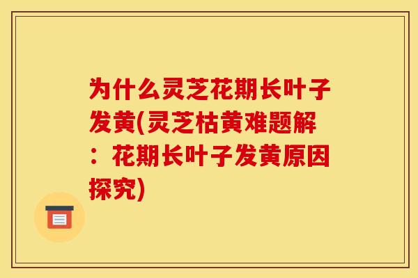 为什么灵芝花期长叶子发黄(灵芝枯黄难题解:花期长叶子发黄原因探究)