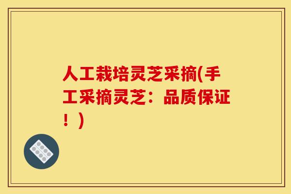人工栽培灵芝采摘(手工采摘灵芝:品质保证!)