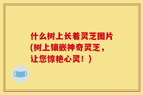 什么树上长着灵芝图片(树上镶嵌神奇灵芝,让您惊艳心灵!)