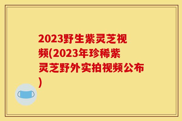 2023野生紫灵芝视频(2023年珍稀紫灵芝野外实拍视频公布)