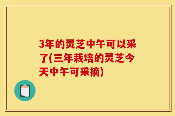 3年的灵芝中午可以采了(三年栽培的灵芝今天中午可采摘)
