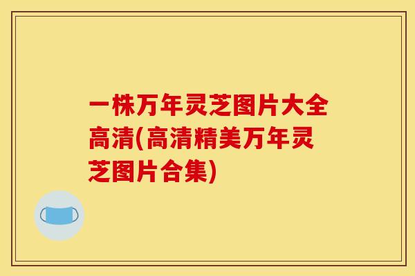 一株万年灵芝图片大全高清(高清精美万年灵芝图片合集)