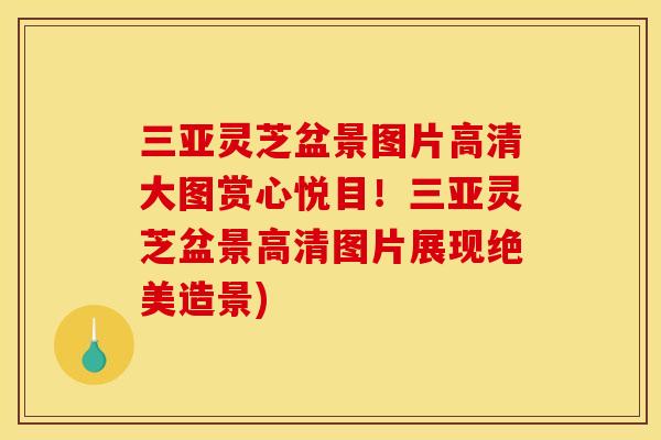 三亚灵芝盆景图片高清大图赏心悦目！三亚灵芝盆景高清图片展现绝美造景)
