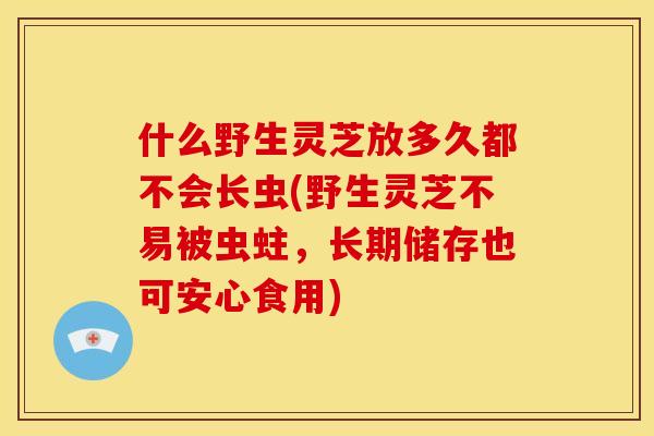 什么野生灵芝放多久都不会长虫(野生灵芝不易被虫蛀，长期储存也可安心食用)