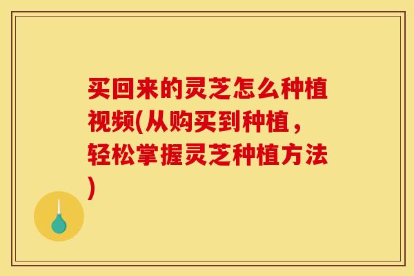 买回来的灵芝怎么种植视频(从购买到种植,轻松掌握灵芝种植方法)