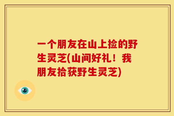 一个朋友在山上捡的野生灵芝(山间好礼!我朋友拾获野生灵芝)