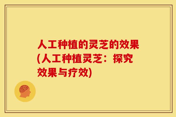 人工种植的灵芝的效果(人工种植灵芝：探究效果与疗效)