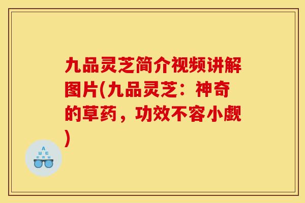 九品灵芝简介视频讲解图片(九品灵芝:神奇的草药,功效不容小觑)