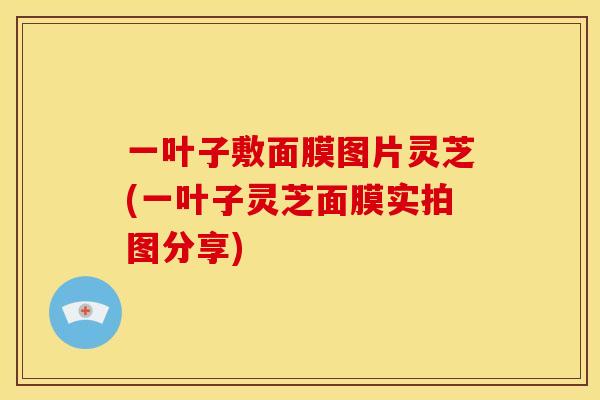 一叶子敷面膜图片灵芝(一叶子灵芝面膜实拍图分享)