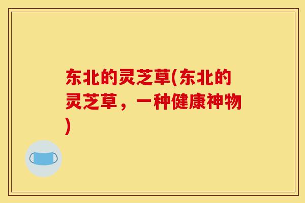 东北的灵芝草(东北的灵芝草,一种健康神物)