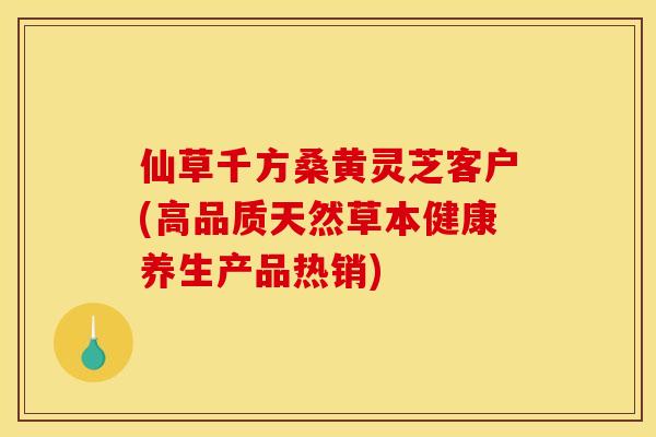 仙草千方桑黄灵芝客户(高品质天然草本健康养生产品热销)