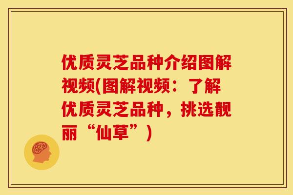 优质灵芝品种介绍图解视频(图解视频:了解优质灵芝品种,挑选靓丽“仙草”)